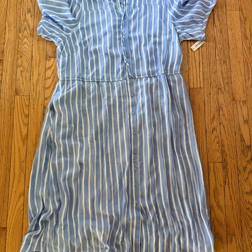 Amazon Blue and White Striped Button-Front Women's Dress